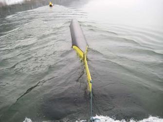 19.2.2010 Im Donaustrom 19.2.2010 Im Donaustrom