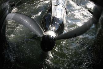 10.10.2010 HORF Filmaufnahmen 10.10.2010 HORF Filmaufnahmen